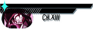 ch13